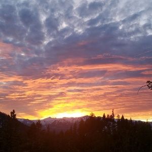 Meet your Posher, Brianne